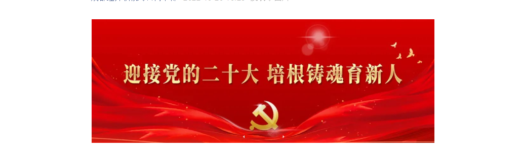 【聚焦党的二十大】党的二十大报告学习手账